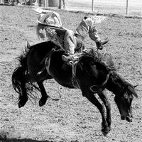 rodeo-rider